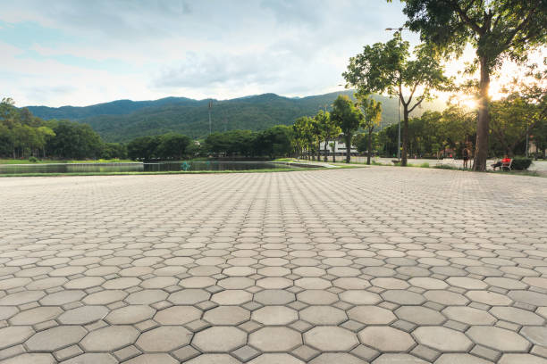 Best Driveway Pavers Near Me  in Sandy Valley, NV