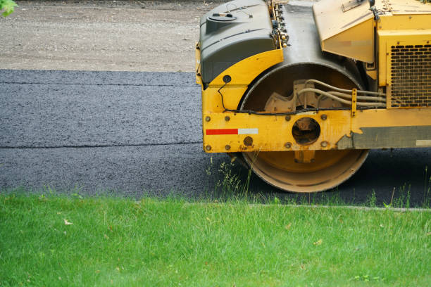 Best Driveway Pavers Near Me  in Sandy Valley, NV